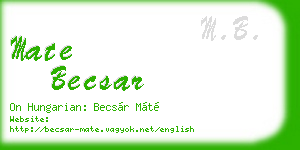 mate becsar business card